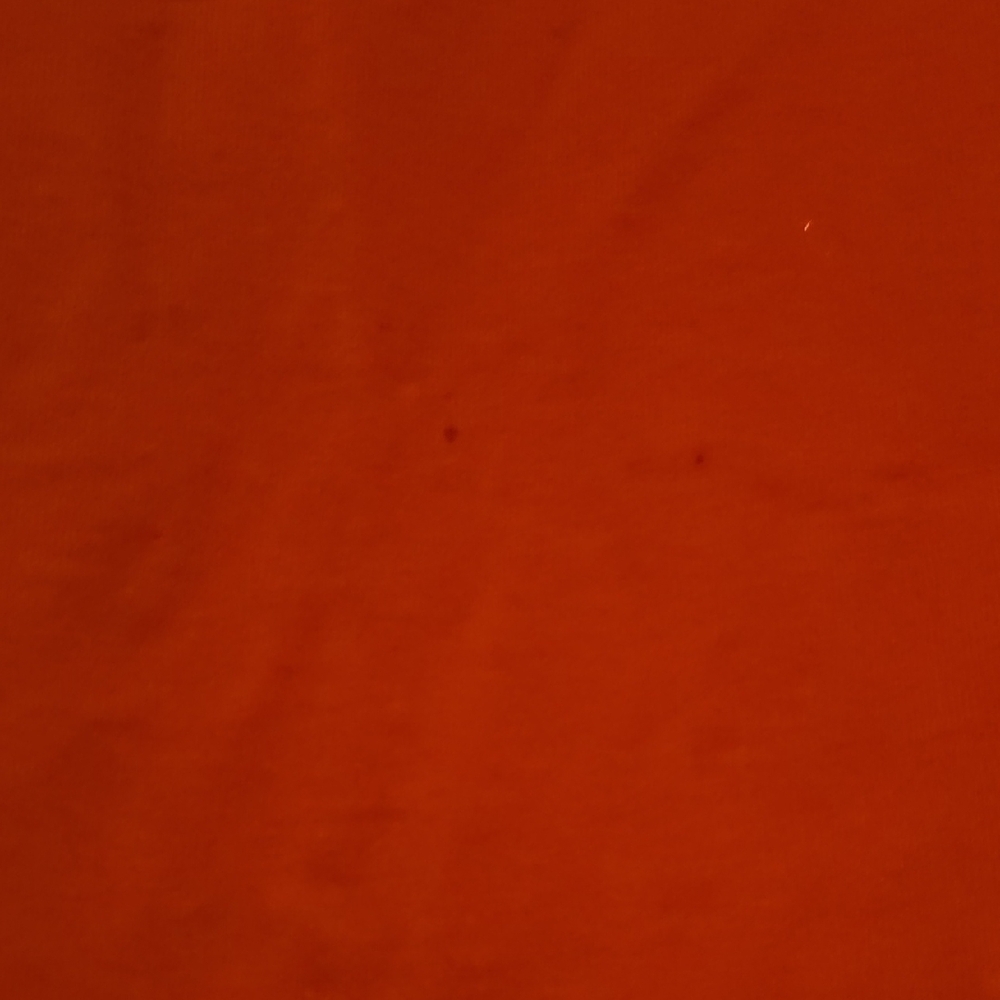 Men Vibrant Orange Tee With Wings - Picture 8 of 9